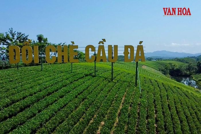 Nơi đây được du khách ví von là một trong những đồi chè đẹp nhất tỉnh Thái Nguyên, nổi bật với những triền chè xanh nối tiếp nhau