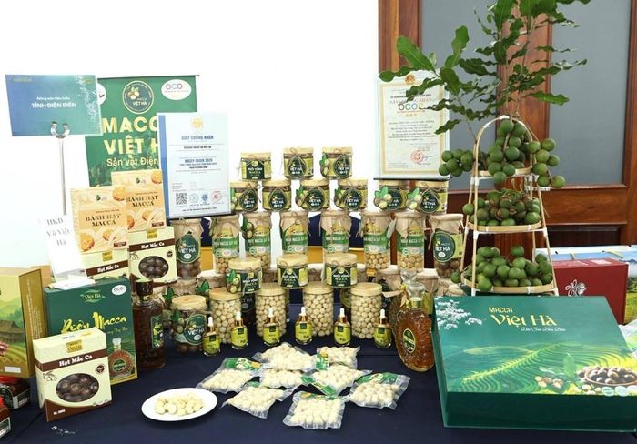 Các sản phẩm đặc trưng, sản phẩm OCOP của Điện Biên được trưng bày, giới thiệu tại hội nghị