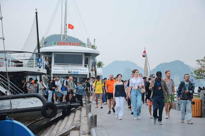 Quảng Ninh đón lượng lớn du khách tham quan, tìm hiểu vẻ đẹp tự nhiên của Vịnh Hạ Long. Ảnh: Hoàng Hiếu - TTXVN