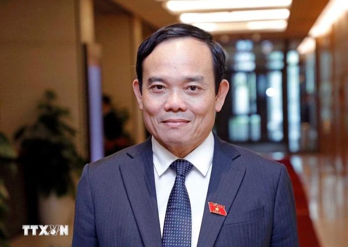 Bí thư Thành ủy Thành phố Hồ Chí Minh Trần Lưu Quang - Ảnh: TTXVN