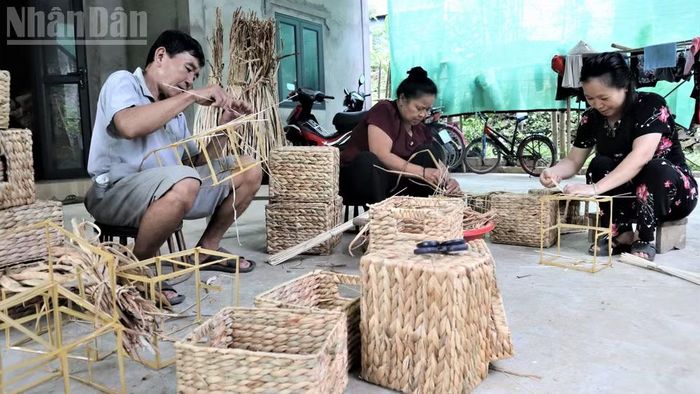 Nghề đan bèo tây ở bản Yên Tĩnh, xã Yên Na, Nghệ An. (Ảnh: TTH)
