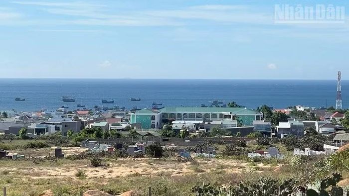Việc xác định chủ sử dụng đất, nguồn gốc và quá trình sử dụng đất nằm trong diện thu hồi để triển khai dự án trên địa bàn xã Phước Dinh còn nhiều vướng mắc. (Ảnh: NGUYỄN TRUNG)
