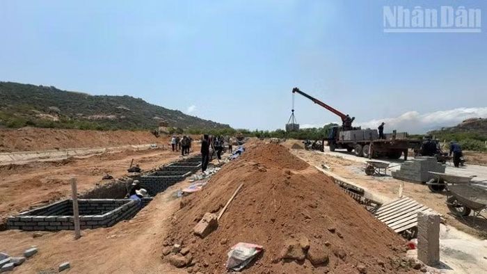  Địa phương xây dựng khu mộ tập trung xã Phước Dinh để hỗ trợ người dân sau khi bốc mộ thân nhân đem đến cải táng. (Ảnh: NGUYỄN TRUNG) ﻿ 