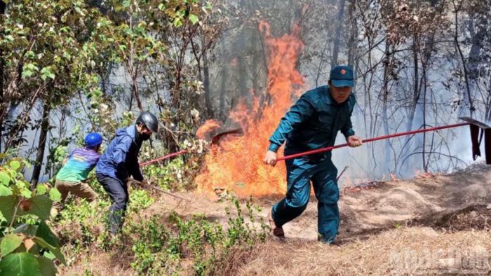  Theo một cán bộ địa phương, những ngày này người dân đi thắp hương, hóa vàng tại các khu vực lăng mộ khá đông do đang vào dịp Rằm tháng Bảy, mùa Vu Lan. “Không biết hóa vàng thì người ở dưới kia có nhận được không, nhưng chắc chắn anh em cán bộ phường đã nhận đủ”, cán bộ này đề cập việc lực lượng địa phương liên tục phải ứng trực, xử lý các vụ cháy.(Ảnh: Phường An Cựu) 