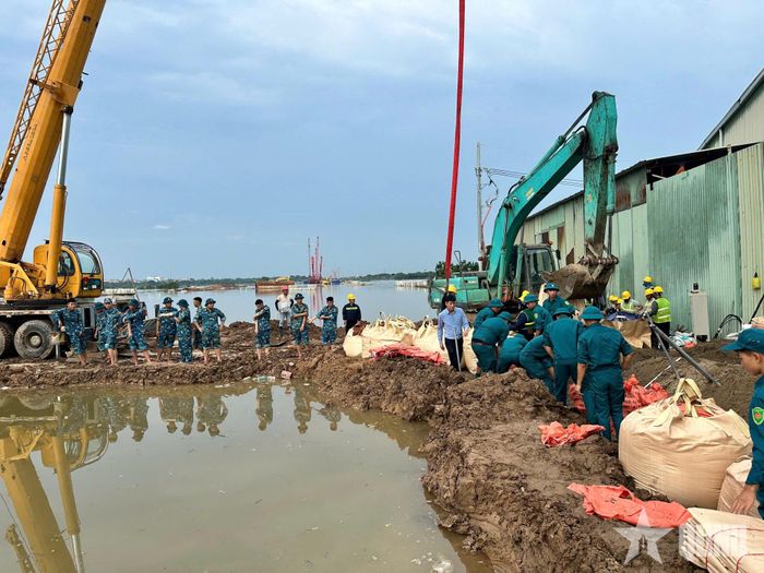  Cán bộ, chiến sĩ Trung đoàn 236 gia cố đê sông Ngũ Huyện Khê tại xã Thư Lâm, TP Hà Nội.   