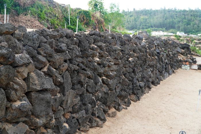 Những đá ong từ nham thạch núi lửa được tận dụng xếp tầng tạo bờ ruộng bậc thang