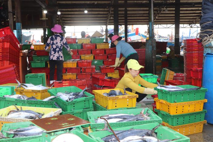 Thủy sản về bến bảo đảm truy xuất nguồn gốc. Ảnh: THÀNH HUY