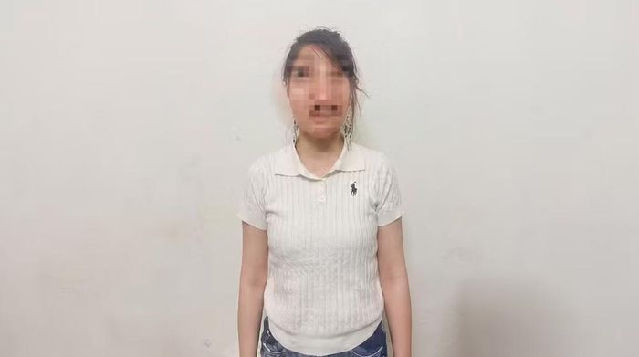 Đối tượng Hoàng Thùy Linh - Ảnh: Công an tỉnh Hà Tĩnh.