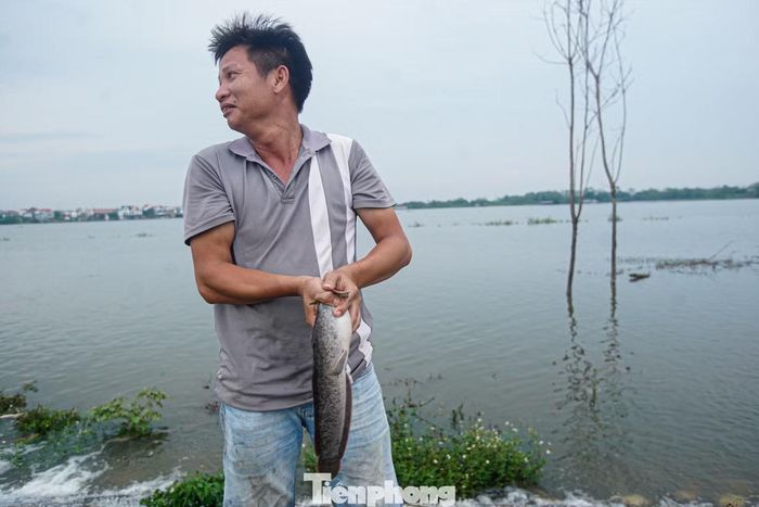 Người dân tranh thủ bắt cá khi nước tràn qua đê.