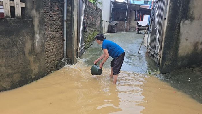 Theo thống kê của UBND phường Trung Thành, trong đợt mưa bão vừa qua, có hơn 80ha hoa màu và lúa bị ảnh hưởng. Hiện tại, chính quyền địa phương đang thống kê thiệt hại để có hướng hỗ trợ người dân sớm ổn định cuộc sống.