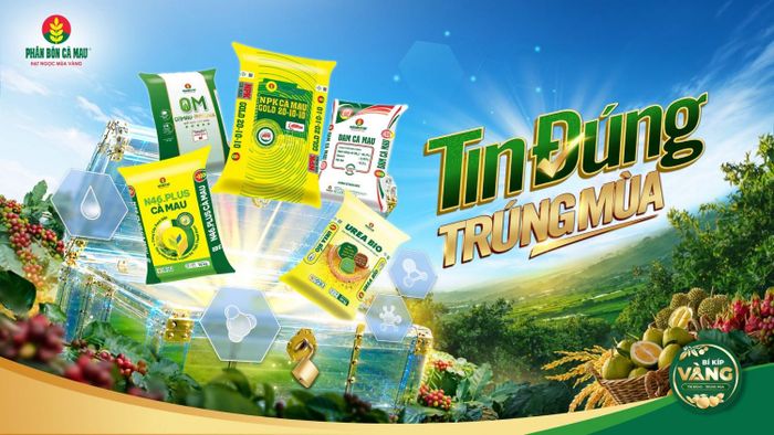 "Bí kíp vàng" - hành trang cho mùa vàng thắng lớn.