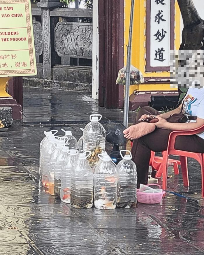 Hình ảnh rùa được bày bán trước cổng chùa (Nguồn: ENV)