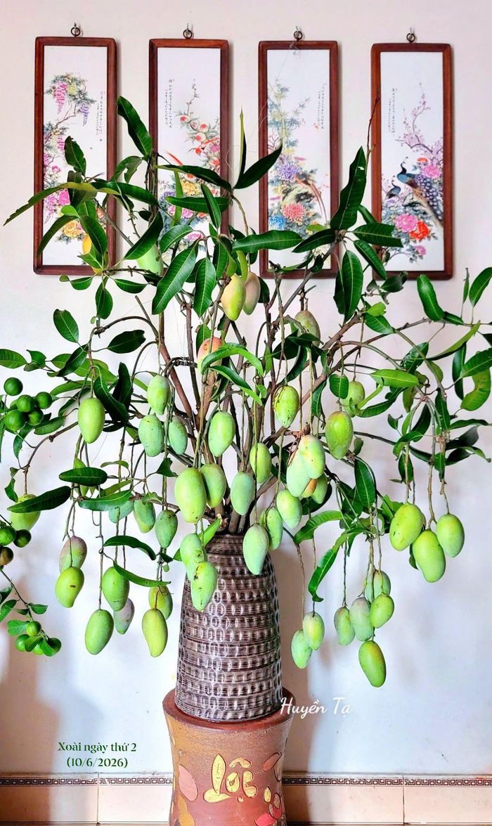 Với chị Huyền, có cùng sở thích mà chia sẻ được với nhau là niềm vui không nhỏ. Hạnh phúc là khi cho đi rồi nhận lại