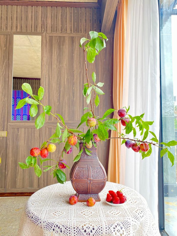 Từ lúc quả căng mọng đến khi chuyển màu, chín dần, mỗi giai đoạn đều có vẻ đẹp riêng