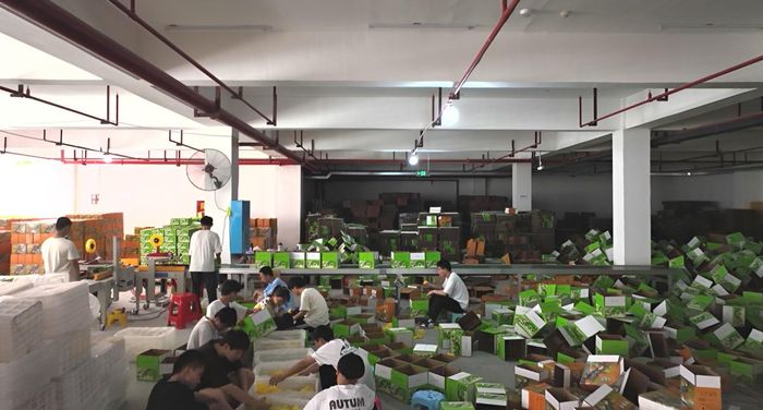 Một góc trung tâm đóng gói và vận chuyển mận Phỉ Thúy tại Văn Minh Dao Tộc Hương, nơi hàng chục tấn trái cây được xuất đi mỗi ngày. Ảnh: Hunantoday