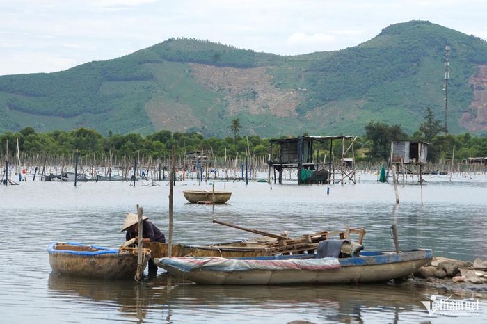 Kế hoạch khơi thông, phục hồi hệ sinh thái đầm Lập An gắn với sinh kế cộng đồng và phát triển du lịch sinh thái bền vững được triển khai theo hướng kết hợp hài hòa giữa phát triển kinh tế - xã hội, bảo vệ môi trường, phục hồi hệ sinh thái và bảo đảm sinh kế lâu dài cho cộng đồng dân cư sống dựa vào nguồn lợi thủy sản đầm phá. Thành phố đồng thời định hướng tái cơ cấu, sắp xếp hoạt động khai thác, nuôi trồng thủy sản theo hướng hình thành các tổ, đội, tổ hợp tác, hợp tác xã gắn với chuỗi giá trị.