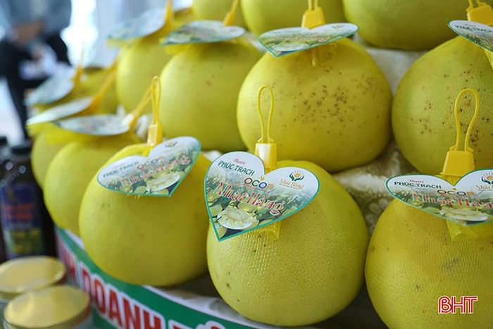 Xã Phúc Trạch đẩy mạnh xúc tiến thương mại, ứng dụng tem nhãn truy xuất nguồn gốc, kết nối các hệ thống phân phối lớn đối với đặc sản bưởi.