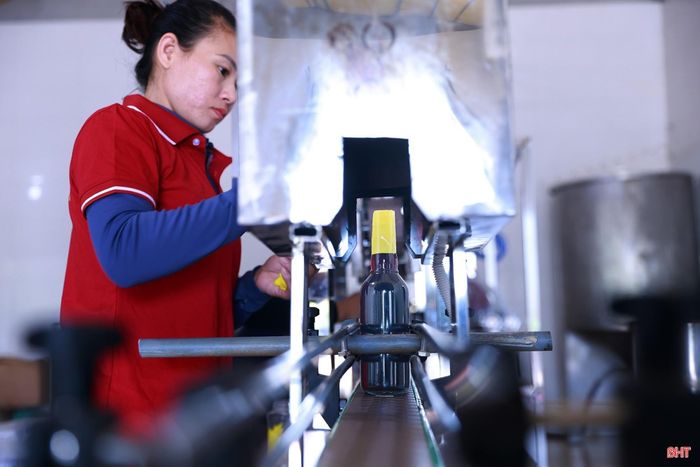 Các sản phẩm OCOP của Hà Tĩnh ngày càng vươn xa, khẳng định thương hiệu trên thị trường.
