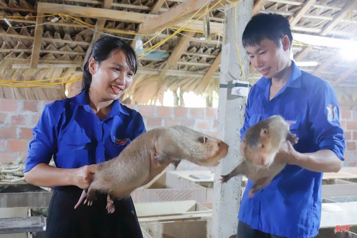 Anh Trần Đình Nhâm kiên trì với mô hình nuôi dúi.