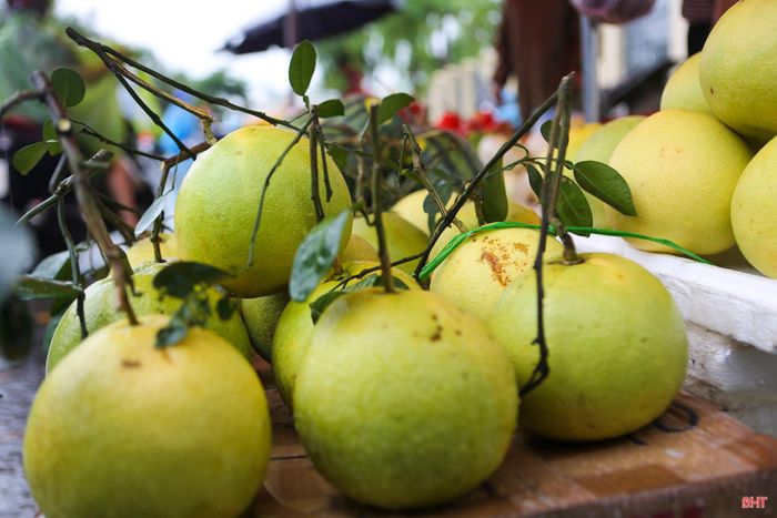 Những quả bưởi còn nguyên cuống lá