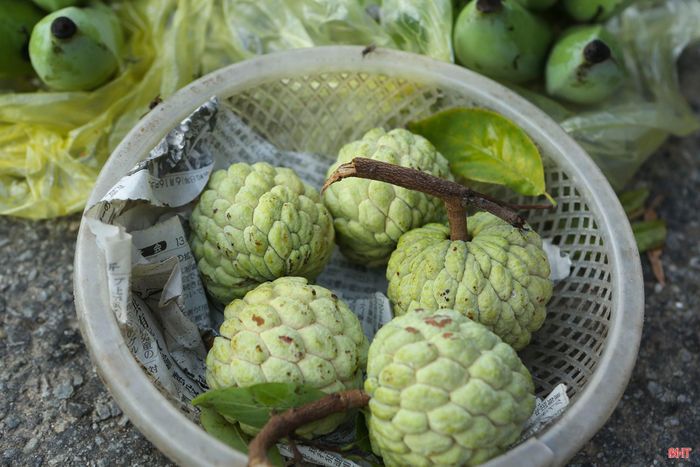 ...đến những quả na mộc mạc vườn nhà chứa đựng sự cần cù và hi vọng của người nông dân trong phiên chợ rằm.