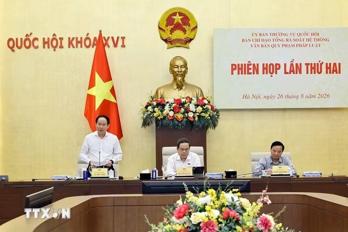 Phó Thủ tướng Chính phủ Lê Tiến Châu, Phó Trưởng ban Thường trực Ban Chỉ đạo phát biểu. (Ảnh: Doãn Tấn/TTXVN)