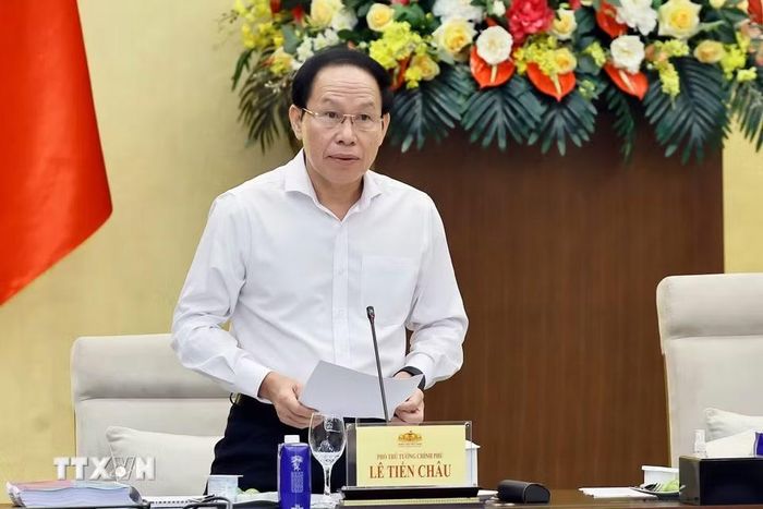 Phó Thủ tướng Chính phủ Lê Tiến Châu, Phó Trưởng ban Thường trực Ban Chỉ đạo phát biểu. (Ảnh: Doãn Tấn/TTXVN)