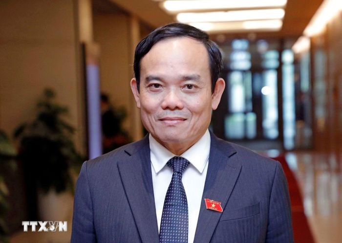 Bí thư Thành ủy Thành phố Hồ Chí Minh Trần Lưu Quang. (Ảnh: TTXVN)