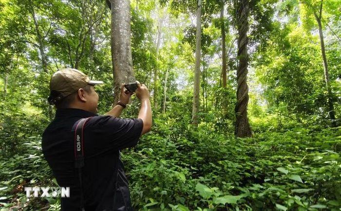 Du khách trải nghiệm cảnh quan và hệ sinh thái tại Khu bảo tồn thiên nhiên Nam Nung (xã Nam Đà, tỉnh Lâm Đồng). (Ảnh: Nguyễn Huy Thành/TTXVN)
