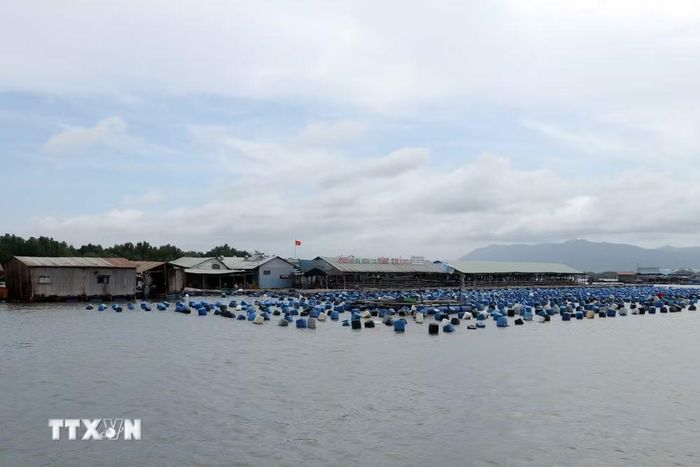 Bè nuôi hải sản trên sông Rạng (xã Long Sơn) đã được "phủ sóng" và hưởng lợi lớn nhờ chuyển đổi số, sử dụng công nghệ trong nuôi và bán hàng qua mạng. (Ảnh: Đoàn Mạnh DươnG/TTXVN)