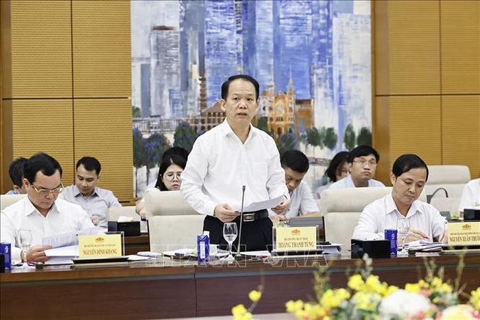 Bộ trưởng Bộ Tư pháp Hoàng Thanh Tùng phát biểu. Ảnh: Doãn Tấn/TTXVN