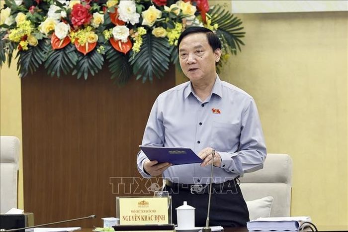 Phó Chủ tịch Quốc hội Nguyễn Khắc Định, Phó Trưởng Ban Chỉ đạo phát biểu. Ảnh Doãn Tấn/TTXVN
