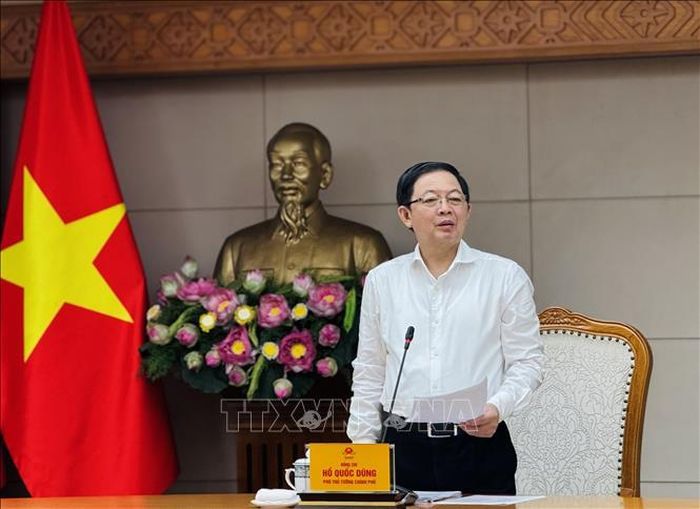 Phó Thủ tướng Hồ Quốc Dũng phát biểu chỉ đạo tại cuộc họp.
