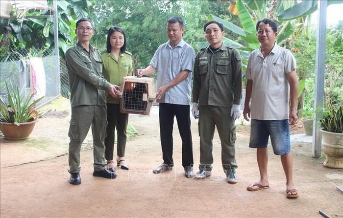 Anh Đặng Thanh Tâm bàn giao cá thể Khỉ mặt đỏ quý hiếm cho cơ quan chức năng.