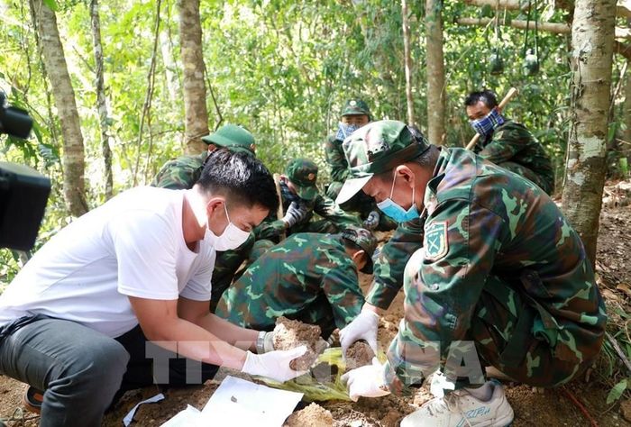 Đội Tìm kiếm, quy tập hài cốt liệt sĩ, Bộ Chỉ huy Quân sự tỉnh Khánh Hòa kiểm tra kỹ từng mẫu đất để tìm kiếm hài cốt liệt sĩ. Ảnh: Xuân Triệu - TTXVN