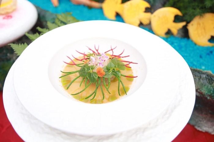 Các món ăn hấp dẫn, giàu chất dinh dưỡng được chế biến từ yến sào Khánh Hòa và các sản vật địa phương. Ảnh: Xuân Triệu - TTXVN