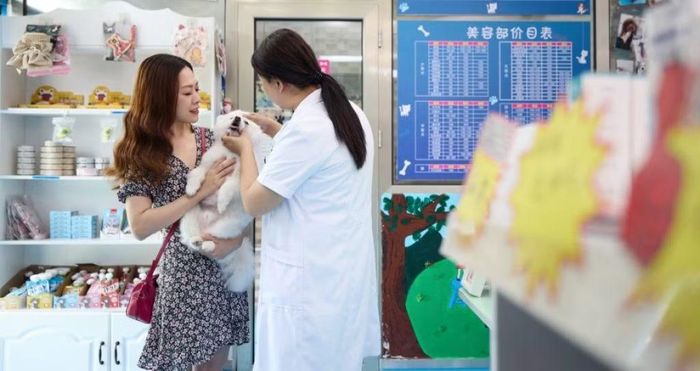 Chủ vật nuôi sẵn sàng chi tiền cho các sản phẩm và dịch vụ giúp tạo thêm cảm giác đặc biệt cho cuộc sống của thú cưng, từ đồ ăn trong các dịp lễ, phụ kiện thời trang đến những món đồ lưu niệm