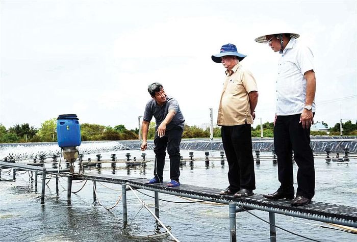 Từ phải: ông Ngô Vũ Thăng (Phó Chủ tịch UBND tỉnh Cà Mau) đưa ông Lê Minh Hoan đến tham quan mô hình nuôi tôm công nghệ cao tuần hoàn tại xã Gành Hào ngày 8.5.2026. Ảnh: Kiều Ngân
