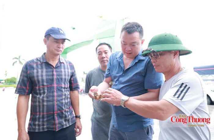 “Dịp này, có doanh nghiệp mang sản phẩm trực tiếp đến hội chợ, tôi quyết định mua một ít củ và lá sâm tươi về ngâm rượu, pha trà để bồi bổ sức khỏe. Mức giá dù cao nhưng hoàn toàn xứng đáng với chất lượng nguyên bản của sản phẩm”, ông Hùng bày tỏ.