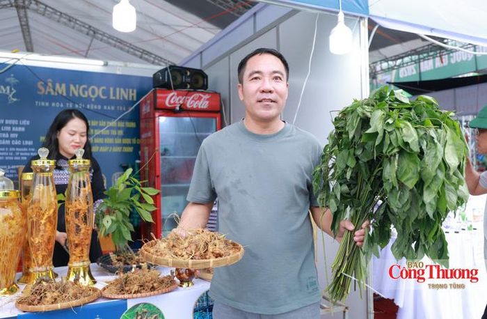 Ông Nguyễn Mạnh Hùng (trú phường Thành Sen, Hà Tĩnh) chia sẻ, tôi biết sâm Ngọc Linh có giá trị dinh dưỡng rất cao nhưng trước đây chủ yếu phải đặt mua qua mạng, đôi khi e ngại về nguồn gốc.