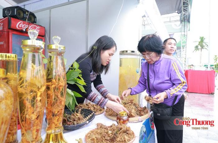 Tại gian hàng của Công ty TNHH Như sâm - Nam Trà My (Đà Nẵng), nhiều mặt hàng vẫn đang đợc bày bán, không khí giao thương diễn ra tấp nập.