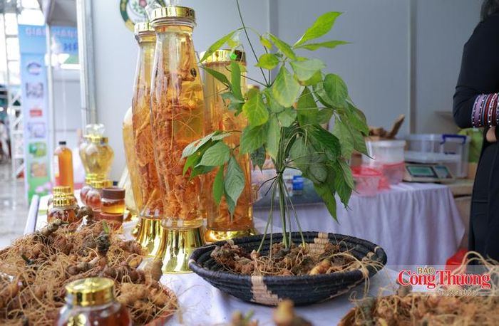 Những sản phẩm tại gian hàng có giá từ 200 nghìn đồng đến 20 triệu đồng.