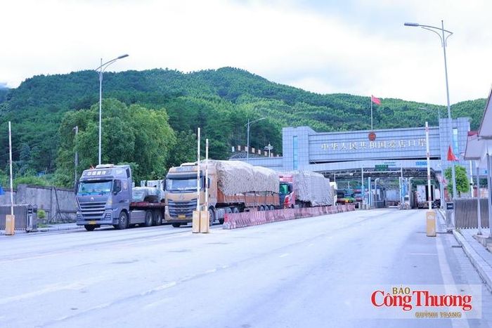 Phát triển logistics hiện đại, hiệu quả sẽ góp phần nâng cao năng lực cạnh tranh của hàng hóa Việt Nam khi quy mô xuất nhập khẩu ngày càng mở rộng