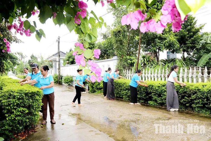 Cán bộ, hội viên phụ nữ xã Thọ Ngọc chăm sóc hàng rào xanh.