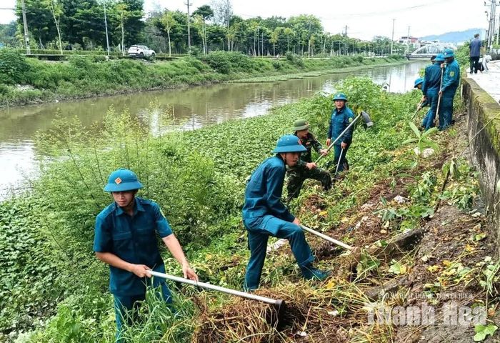 Các lực lượng phát quang cây xanh, bụi rậm hai bên bờ sông.