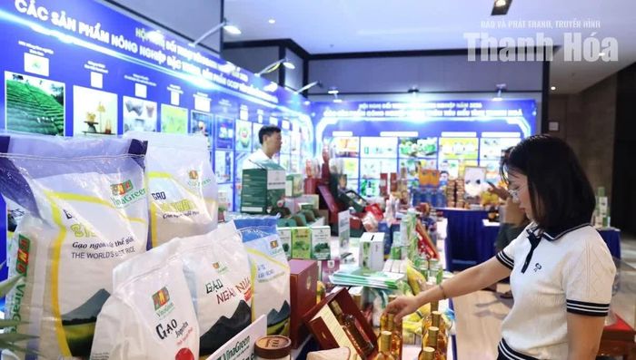 Khu vực trưng bày sản phẩm OCOP và sản phẩm công nghiệp tỉnh Thanh Hóa đã hoàn thiện.