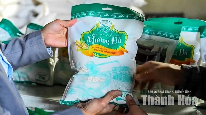 Nếp hạt cau Mường Đủ đạt chứng nhận OCOP 3 sao, góp phần nâng giá trị sản vật truyền thống của Thạch Bình.