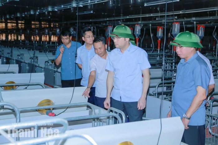 Phó Chủ tịch UBND tỉnh Cao Văn Cường kiểm tra tiến độ Dự án trang trại lợn giống Newhope Đồng Thịnh, xã Thạch Lập.