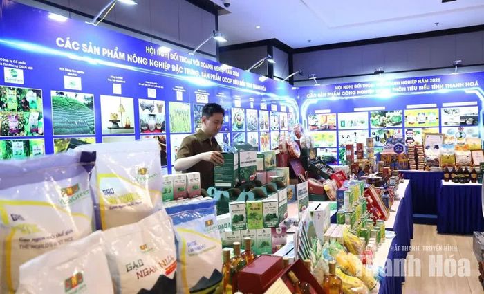Không gian trưng bày sản phẩm nông nghiệp đặc trưng, sản phẩm OCOP của tỉnh Thanh Hóa đa dạng, với nhiều nông sản đã đạt tiêu chuẩn xuất khẩu và tiêu thụ tại nhiều tỉnh, thành.
