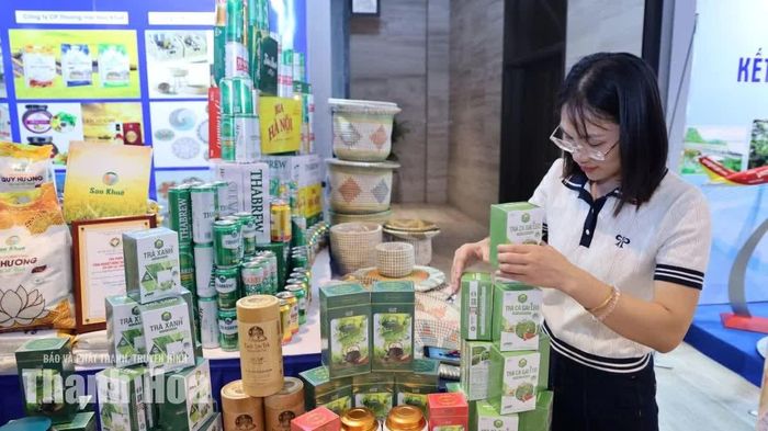 Cán bộ HTX Dịch vụ Nông nghiệp Bình Sơn chăm chút không gian trưng bày sản phẩm OCOP.